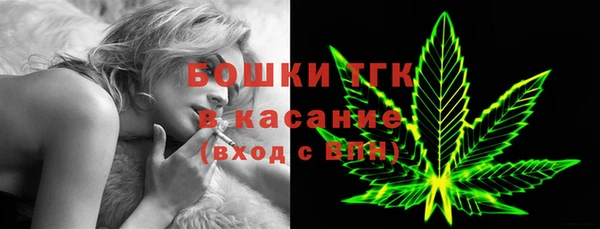 мдпв Бородино