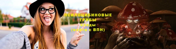 прущие крисы Бронницы