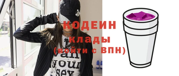 мдпв Бородино