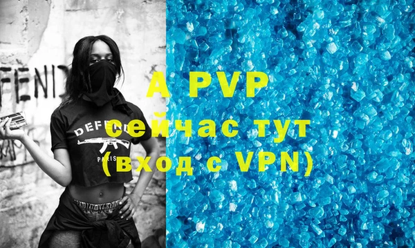 мдпв Бородино