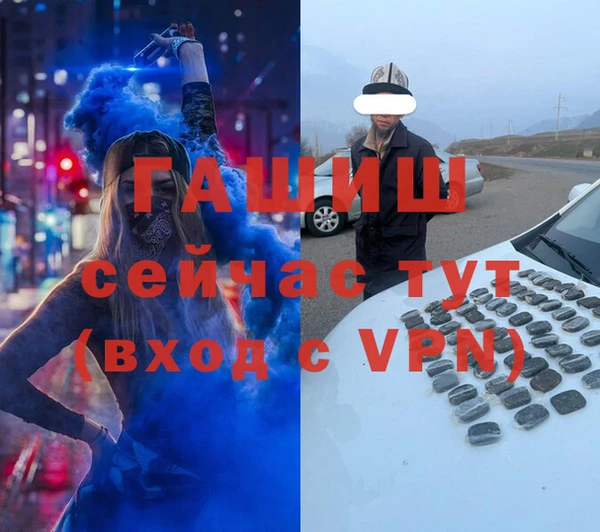 мдпв Бородино