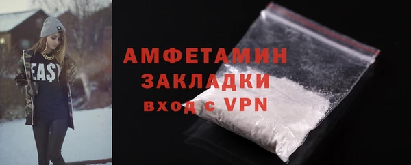 мдпв Бородино