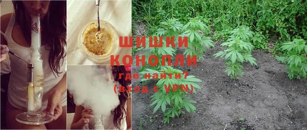 PSILOCYBIN Бугульма