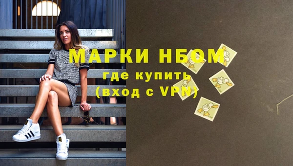 мдпв Бородино