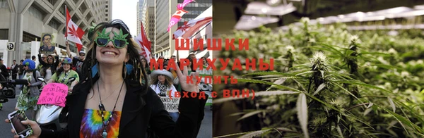 мдпв Бородино