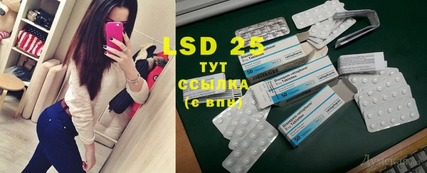 PSILOCYBIN Бугульма