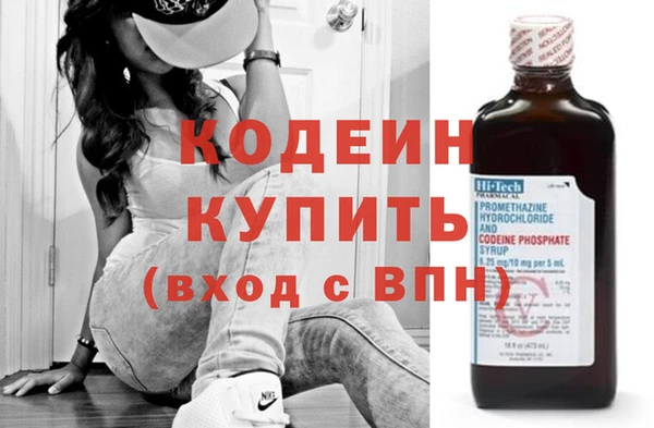 мдпв Бородино