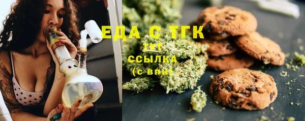 мдпв Бородино