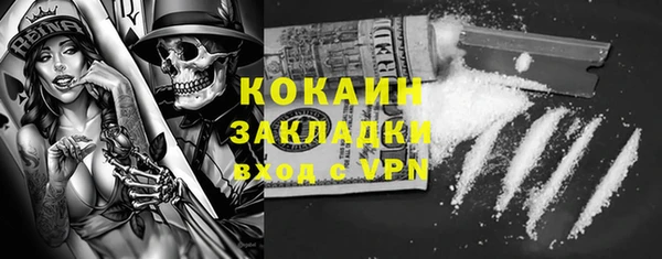 мдпв Бородино